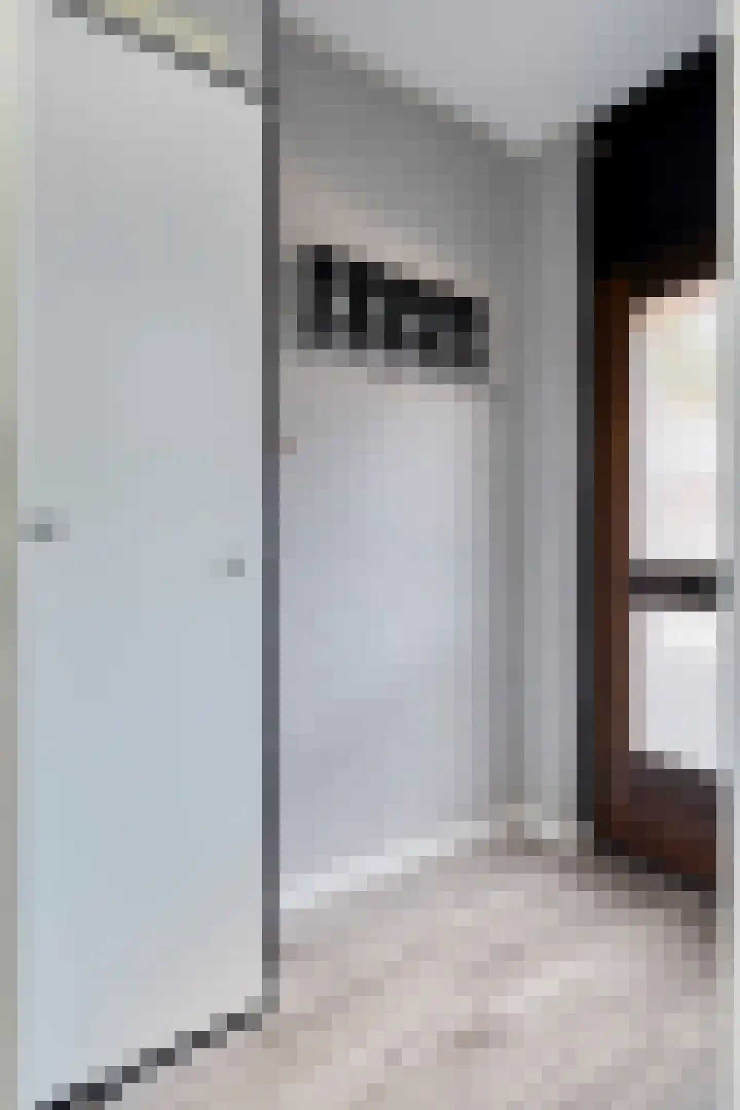 Vredeman de Vriesstraat 50 b Tilburg thumbnail 7