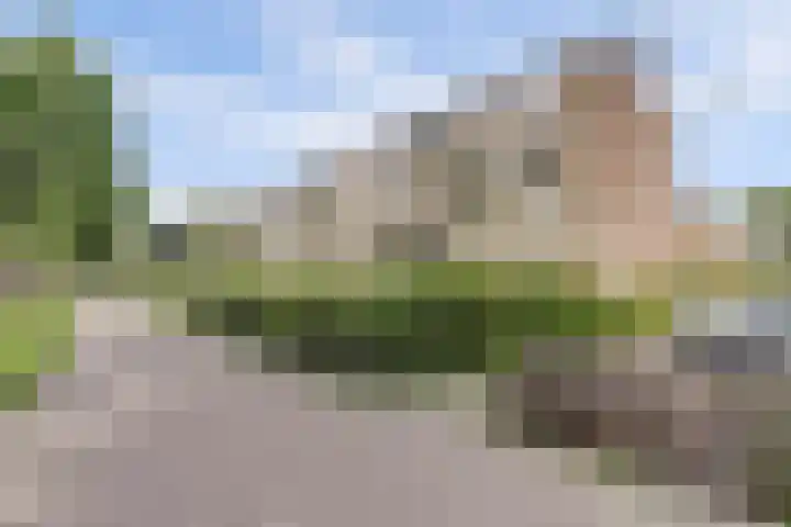 Vredeman de Vriesstraat 56 Rotterdam thumbnail 31