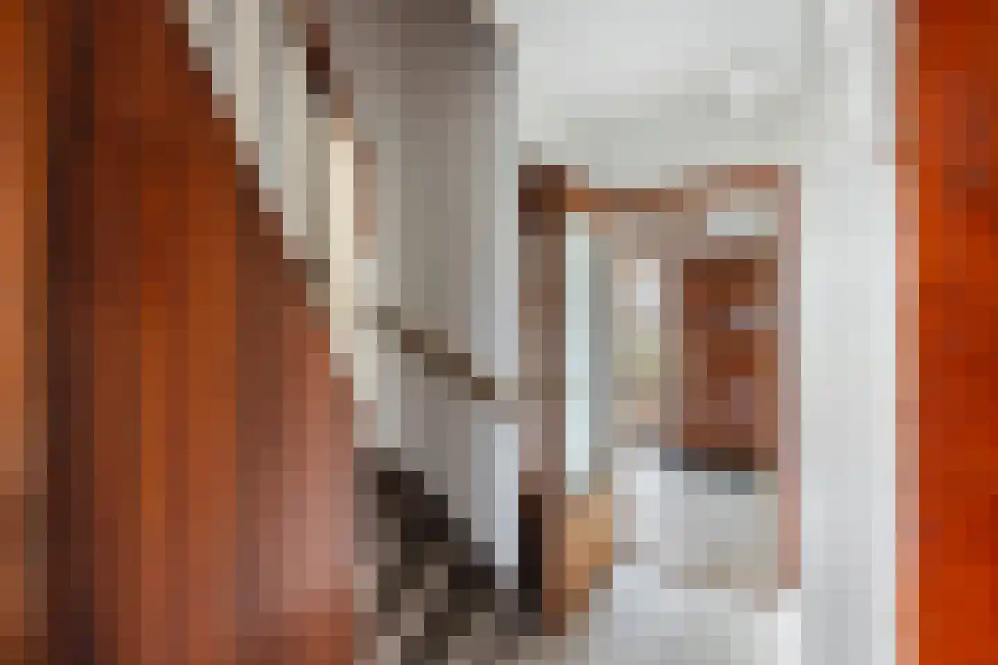 Vredeman de Vriesstraat 6 Rotterdam thumbnail 13