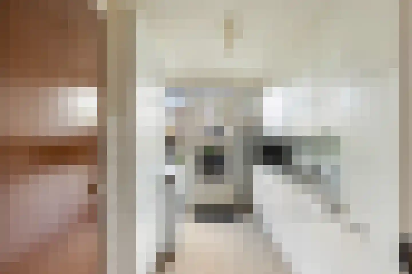 Vredeman de Vriesstraat 6 Rotterdam thumbnail 25