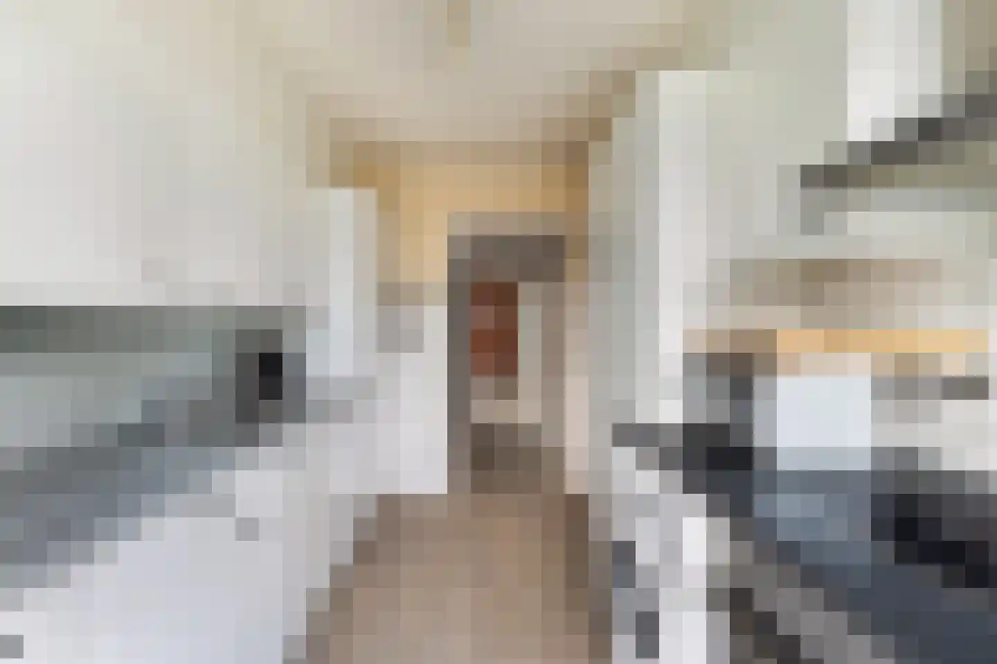 Vredeman de Vriesstraat 6 Rotterdam thumbnail 32