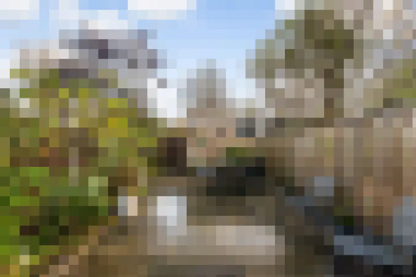 Vredeman de Vriesstraat 6 Rotterdam thumbnail 4