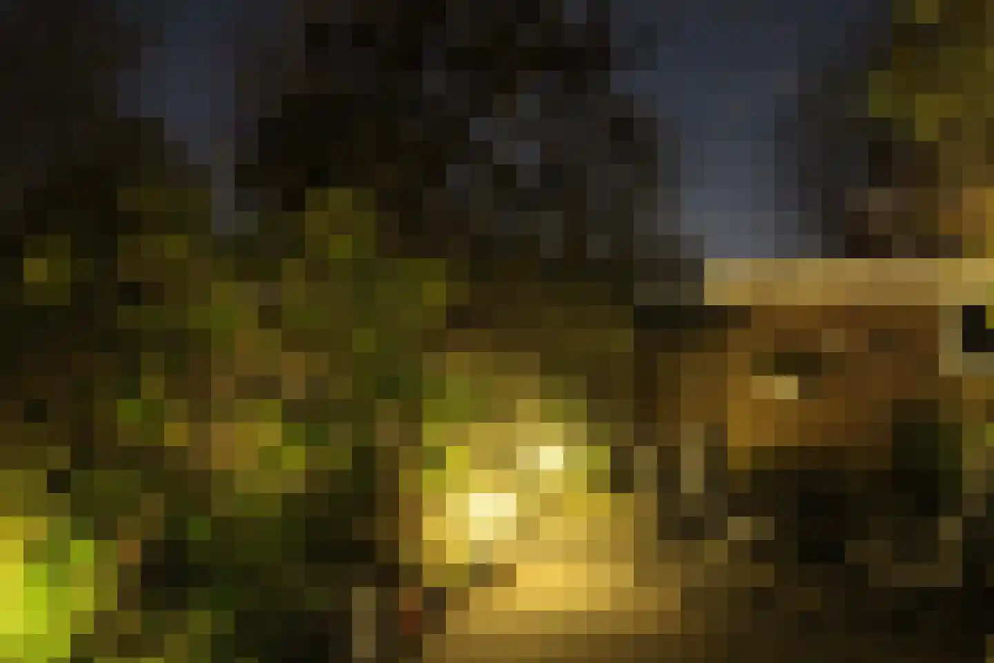 Vredeman de Vriesstraat 6 Rotterdam thumbnail 64