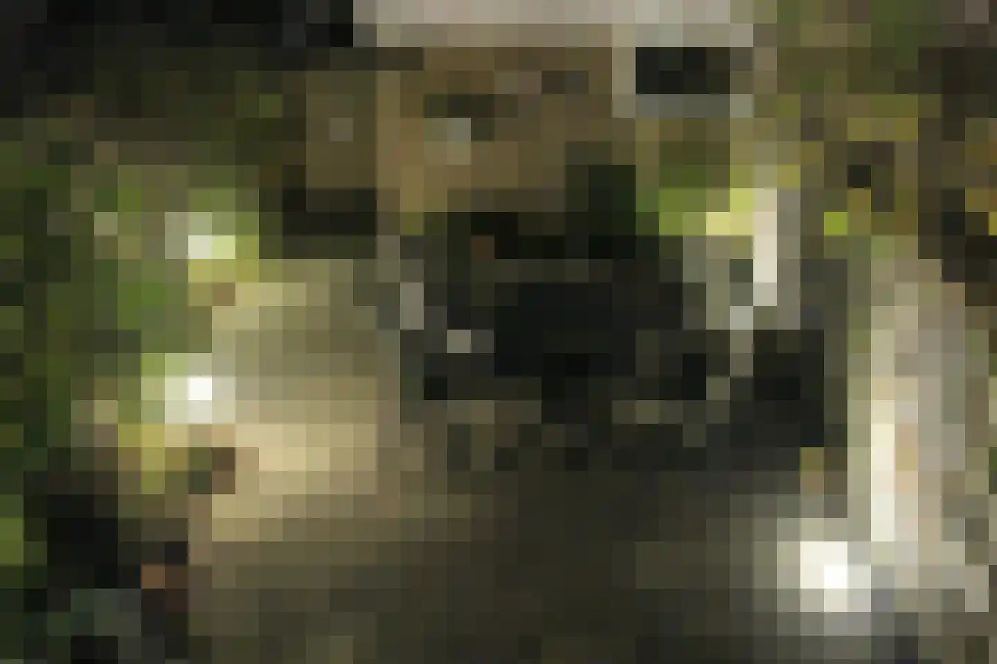Vredeman de Vriesstraat 6 Rotterdam thumbnail 65