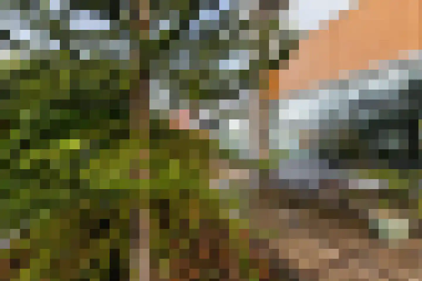 Vredeman de Vriesstraat 6 Rotterdam thumbnail 9
