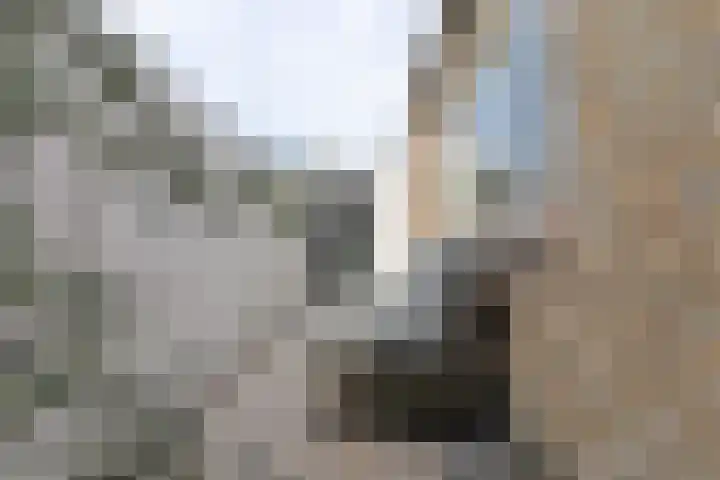 Vredeman de Vriesstraat 71 Tilburg thumbnail 21
