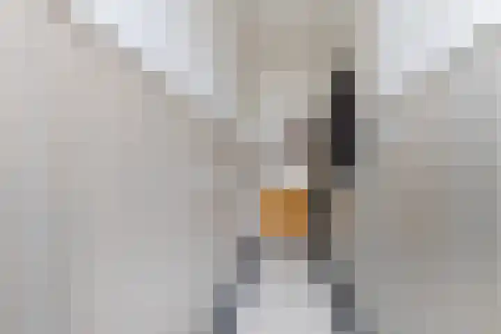 Vredeman de Vriesstraat 71 Tilburg thumbnail 22