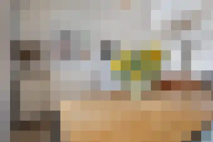 Vredeman de Vriesstraat 71 Tilburg thumbnail 8