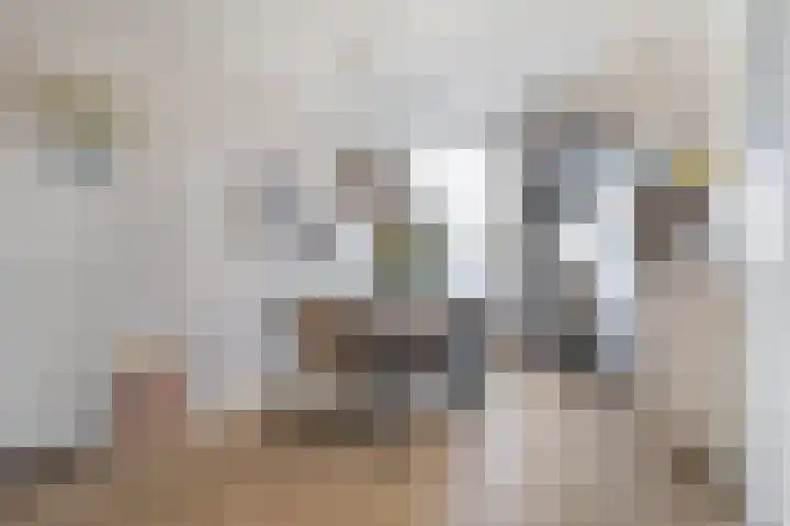 Vredeman de Vriesstraat 71 Tilburg thumbnail 9