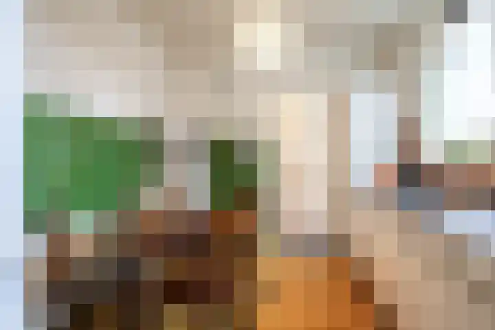Vredeman de Vriesstraat 79 Tilburg thumbnail 7