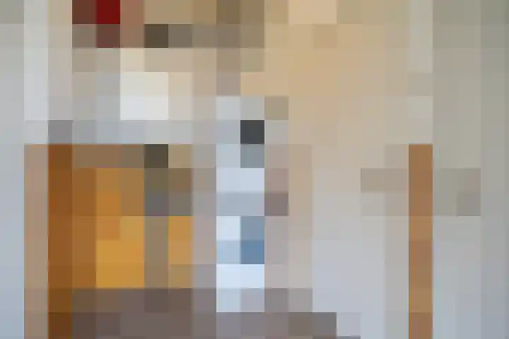 Vredeman de Vriesstraat 79 Tilburg thumbnail 9