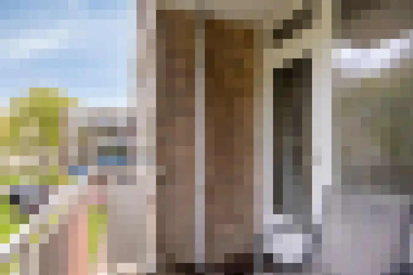 Vredeman de Vriesstraat 82 Rotterdam thumbnail 10