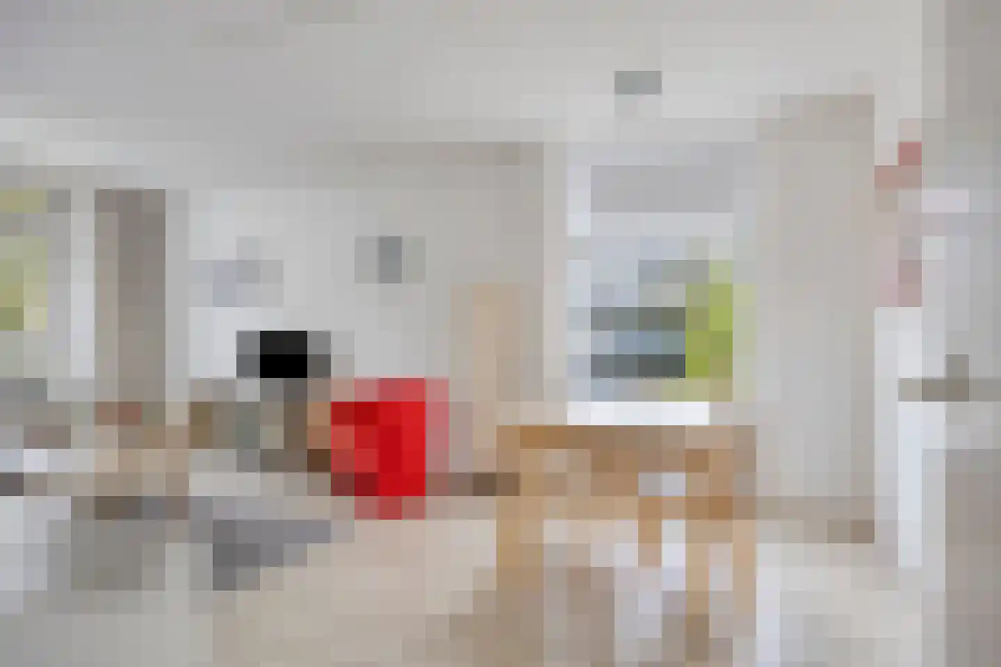 Vredeman de Vriesstraat 82 Rotterdam thumbnail 5