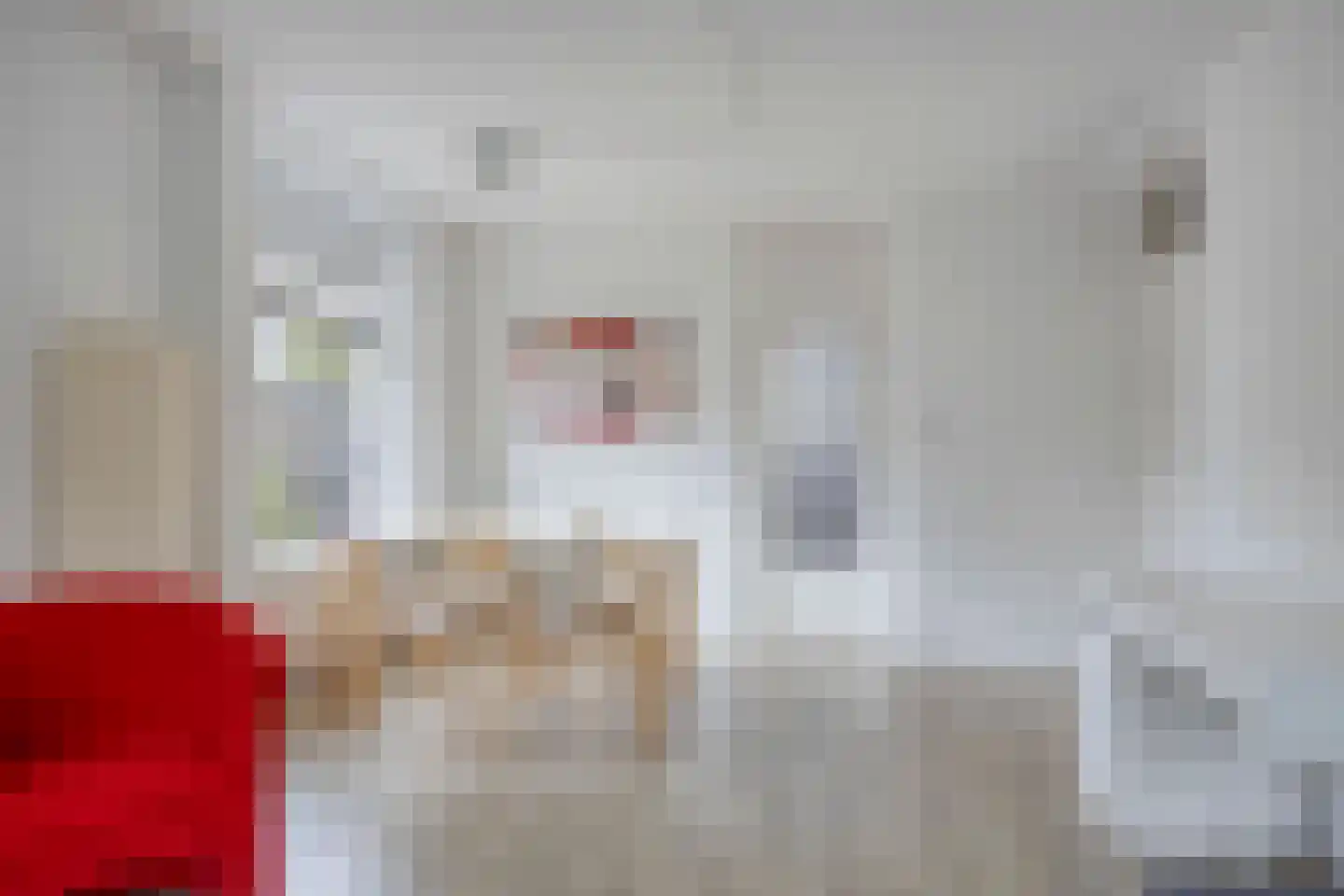 Vredeman de Vriesstraat 82 Rotterdam thumbnail 6