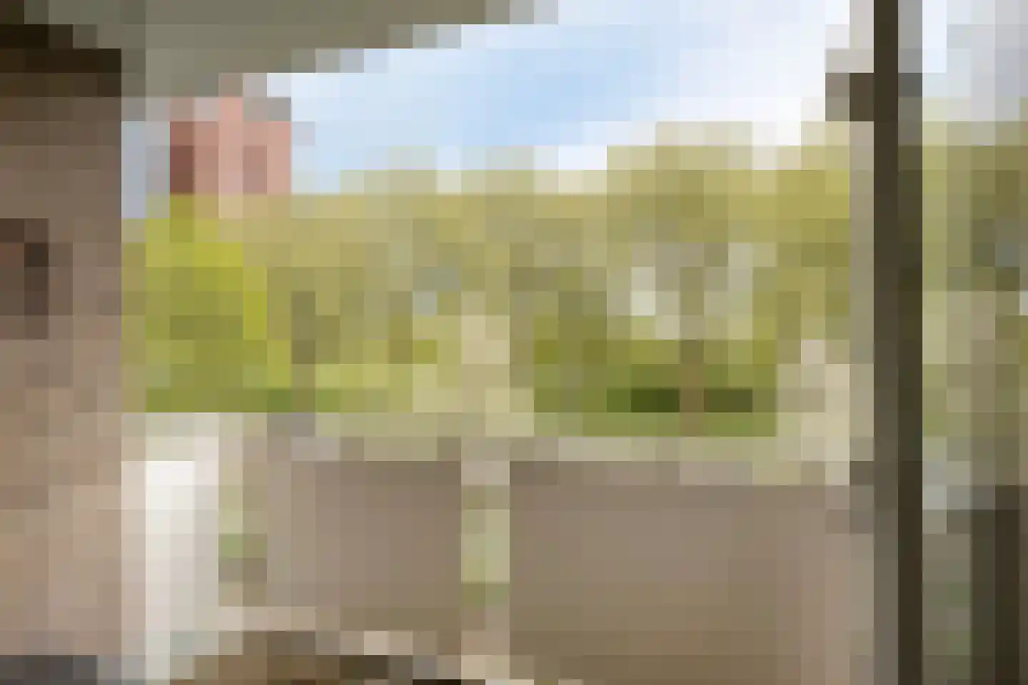 Vredeman de Vriesstraat 82 Rotterdam thumbnail 8