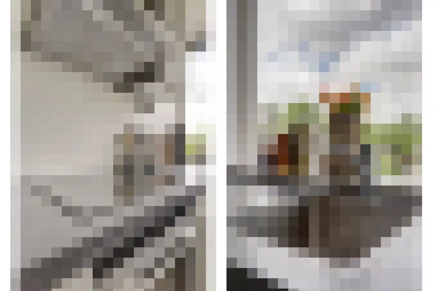 Vredeman de Vriesstraat 84 Rotterdam thumbnail 12