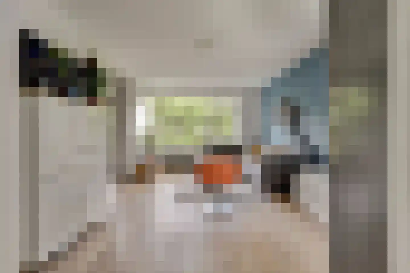 Vredeman de Vriesstraat 84 Rotterdam thumbnail 5