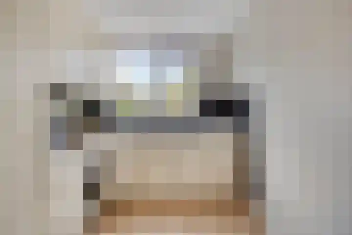 Vredenborg 11 Hendrik-Ido-Ambacht thumbnail 10