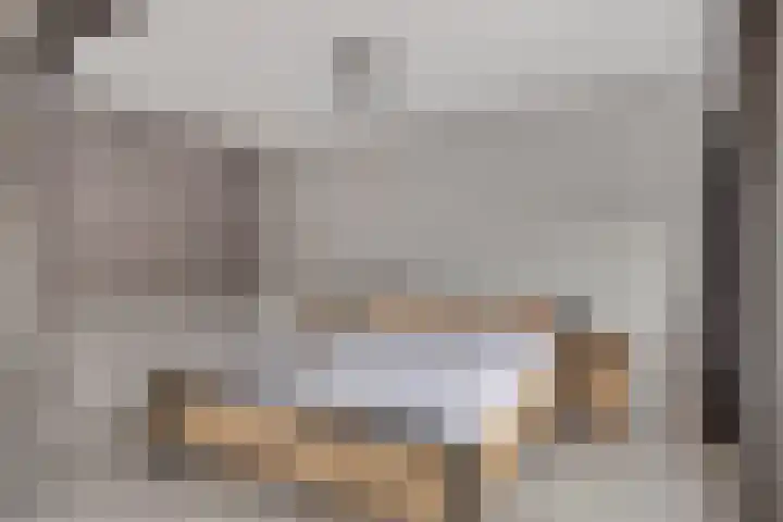 Vredenborg 11 Hendrik-Ido-Ambacht thumbnail 14
