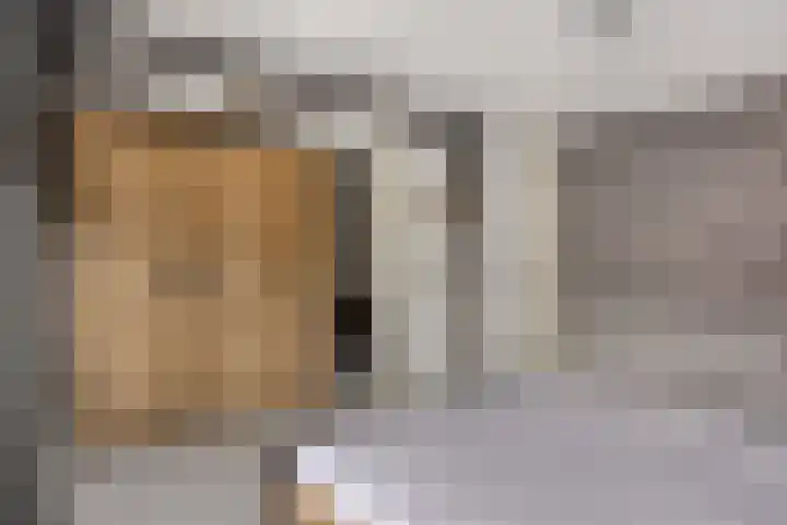 Vredenborg 11 Hendrik-Ido-Ambacht thumbnail 16