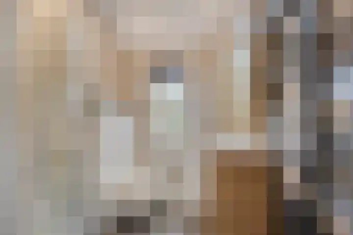 Vredenborg 11 Hendrik-Ido-Ambacht thumbnail 17
