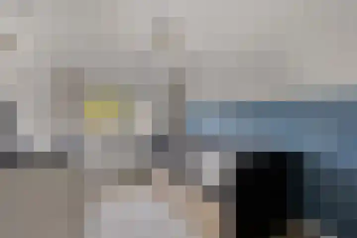 Vredenborg 11 Hendrik-Ido-Ambacht thumbnail 19