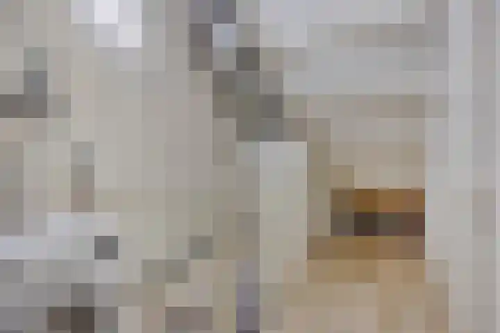 Vredenborg 11 Hendrik-Ido-Ambacht thumbnail 22