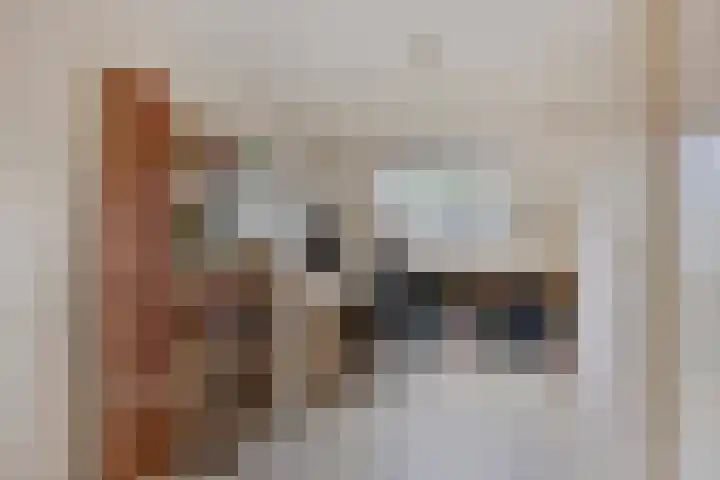 Vredenborg 11 Hendrik-Ido-Ambacht thumbnail 23