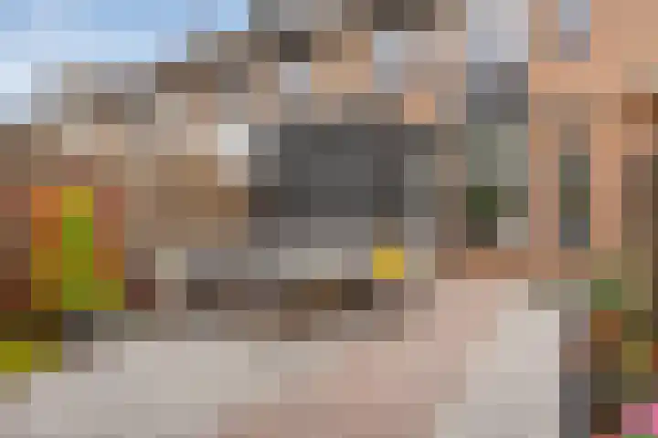 Vredenborg 11 Hendrik-Ido-Ambacht thumbnail 26