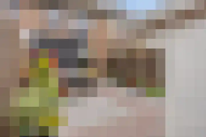 Vredenborg 11 Hendrik-Ido-Ambacht thumbnail 28