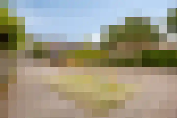 Vredenborg 11 Hendrik-Ido-Ambacht thumbnail 31