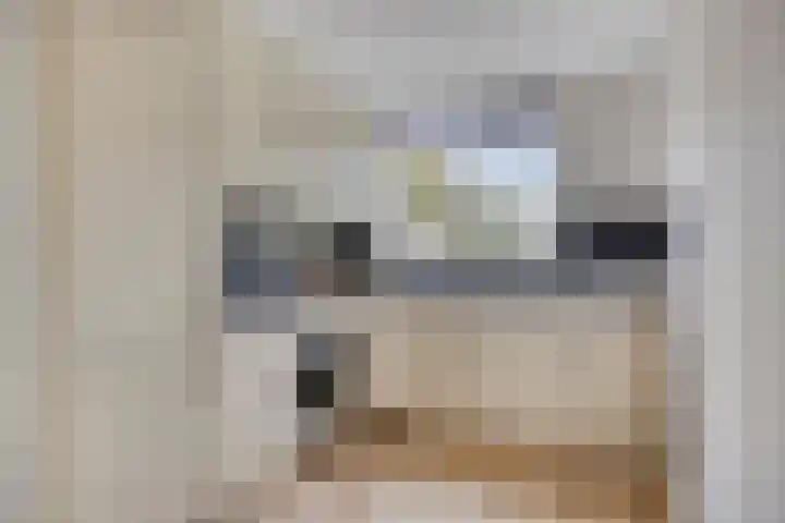 Vredenborg 11 Hendrik-Ido-Ambacht thumbnail 4