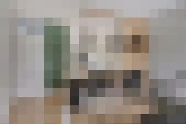 Vredenborg 11 Hendrik-Ido-Ambacht thumbnail 8