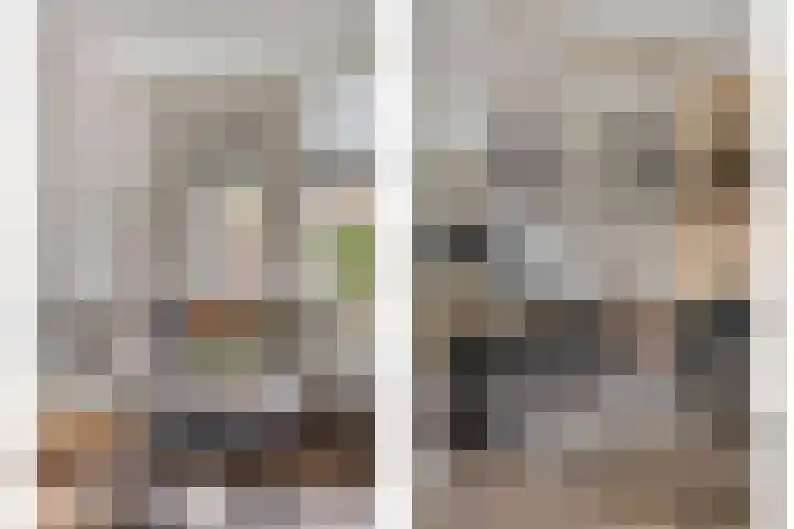 Vredenborg 11 Hendrik-Ido-Ambacht thumbnail 9