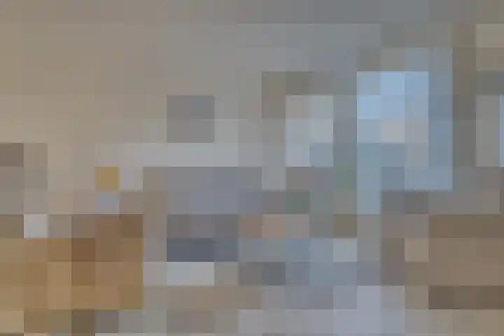Vredenborg 27 Hendrik-Ido-Ambacht thumbnail 10