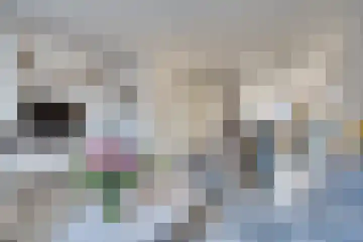 Vredenborg 27 Hendrik-Ido-Ambacht thumbnail 11