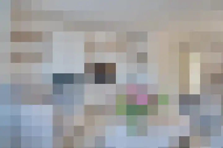 Vredenborg 27 Hendrik-Ido-Ambacht thumbnail 12