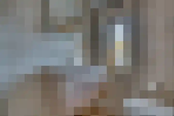 Vredenborg 27 Hendrik-Ido-Ambacht thumbnail 27