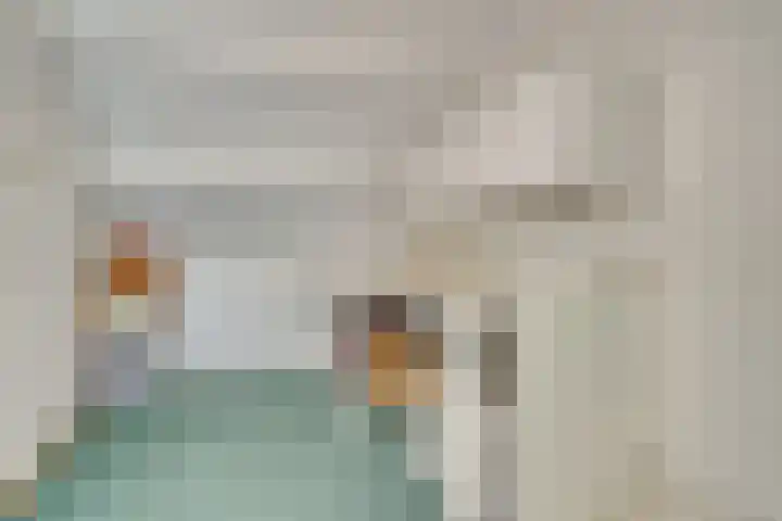 Vredenborg 27 Hendrik-Ido-Ambacht thumbnail 29