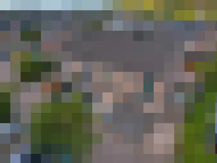 Vredenborg 27 Hendrik-Ido-Ambacht thumbnail 4