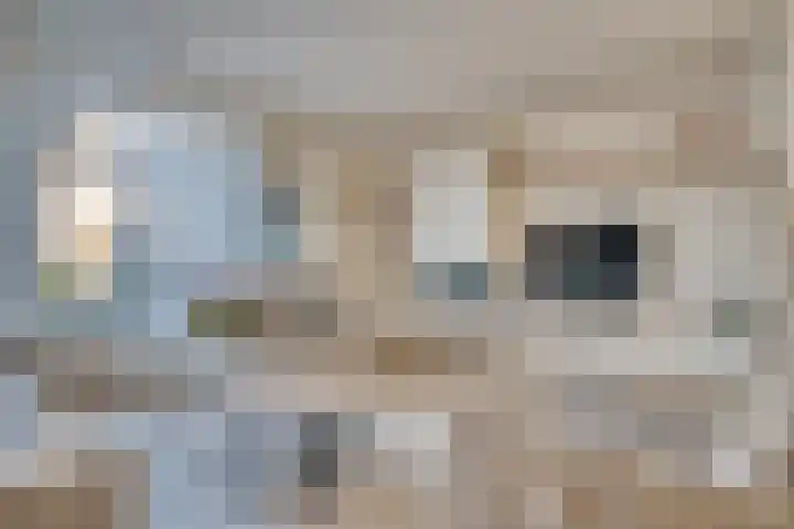 Vredenborg 27 Hendrik-Ido-Ambacht thumbnail 9