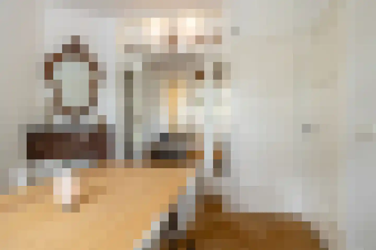 Vredenburchsingel 25 Breda thumbnail 6