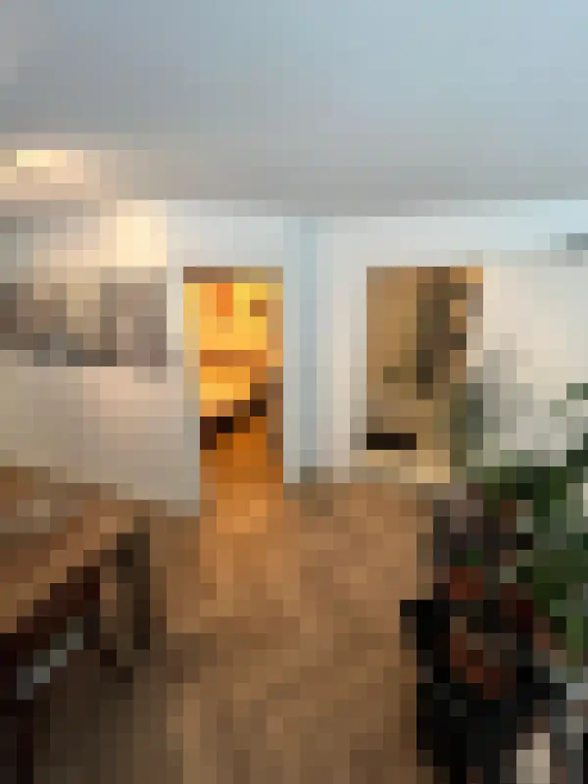 Vredenburchsingel 54 Breda thumbnail 5