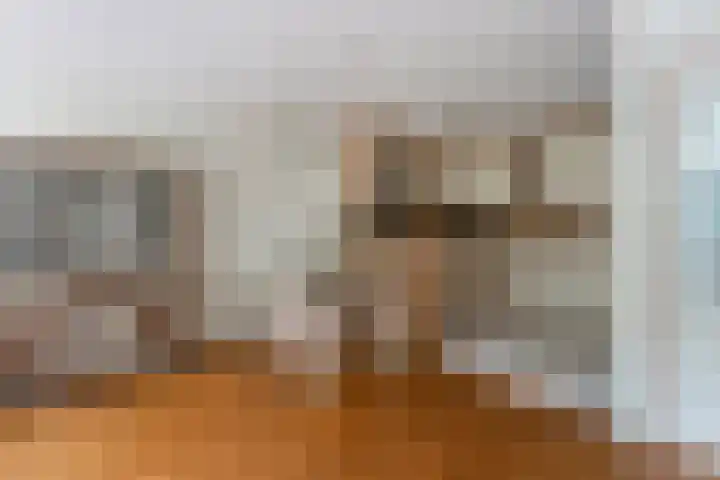 Vredenburg 123 Dordrecht thumbnail 11