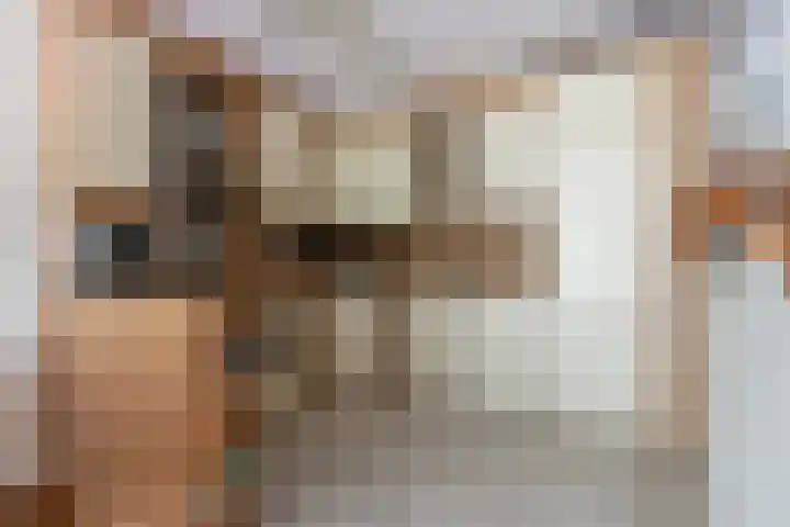 Vredenburg 123 Dordrecht thumbnail 13