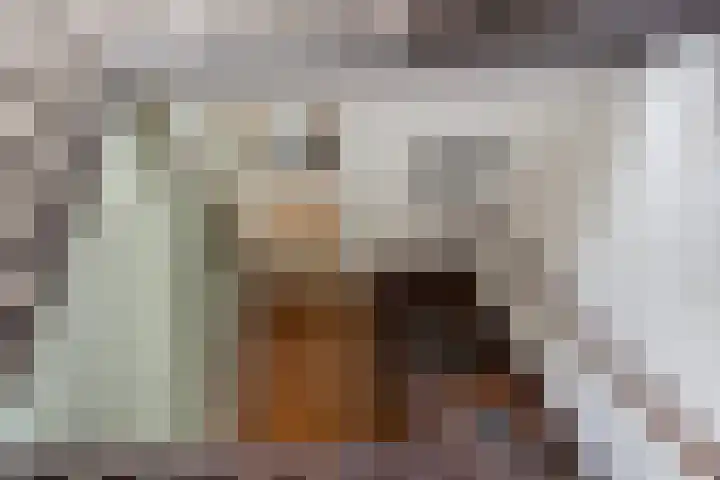Vredenburg 123 Dordrecht thumbnail 15