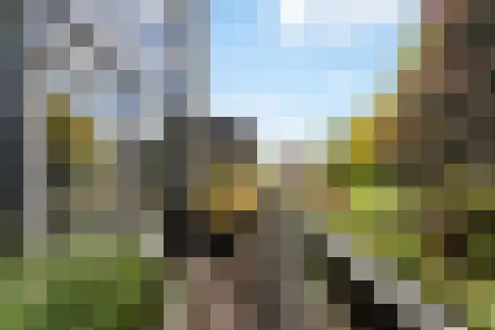 Vredenburg 123 Dordrecht thumbnail 18