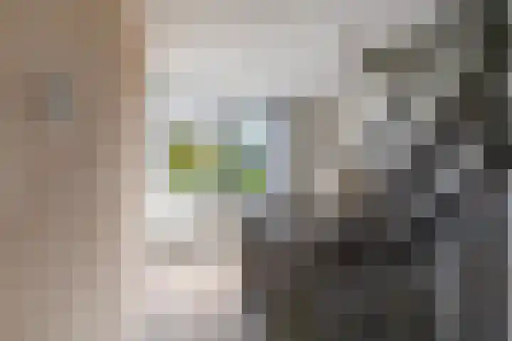 Vredenburg 123 Dordrecht thumbnail 20