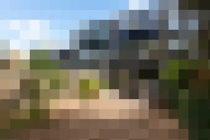 Vredenburg 123 Dordrecht thumbnail 29