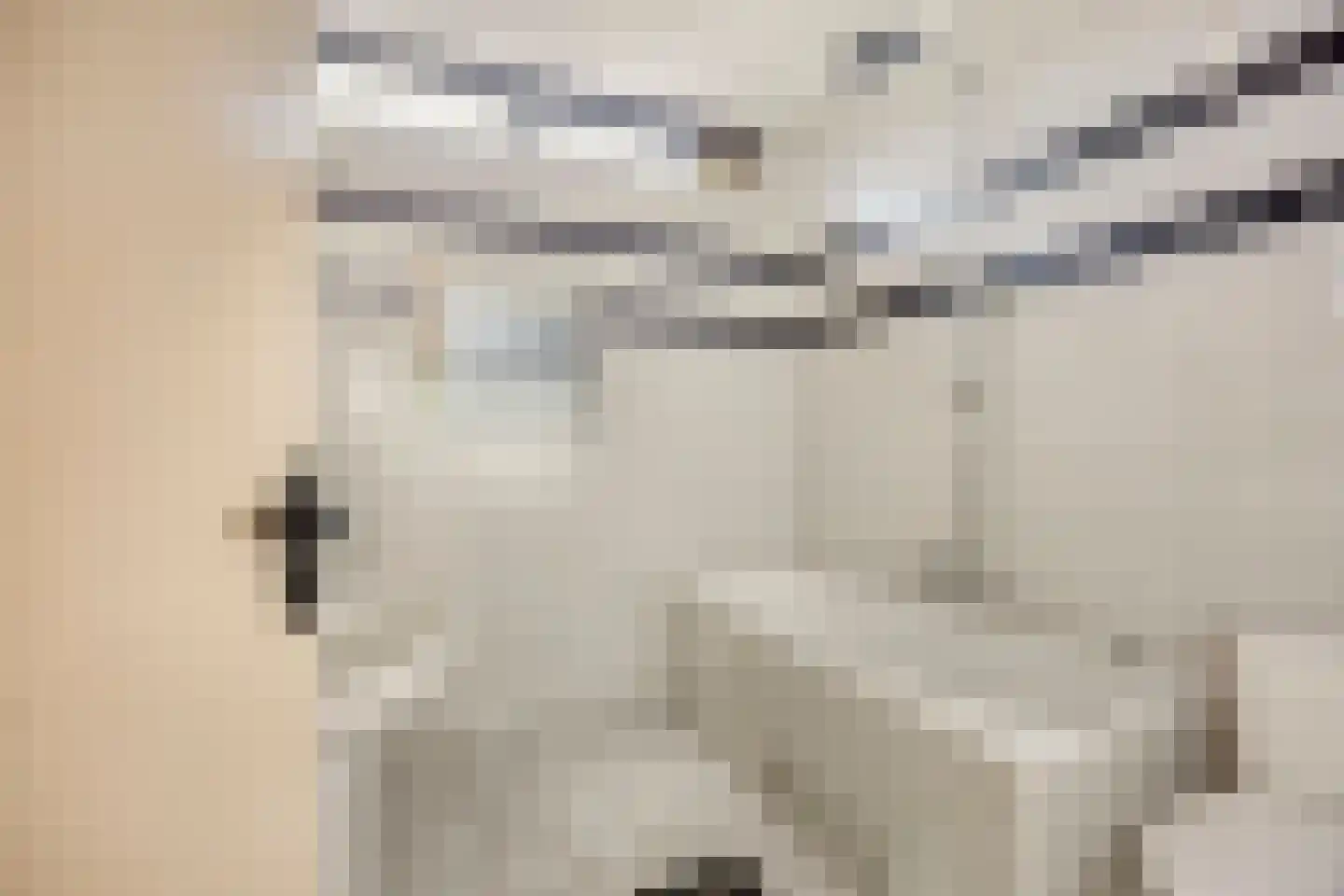 Vredenburg 126 Dordrecht thumbnail 13